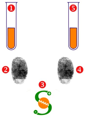 IgE-Test